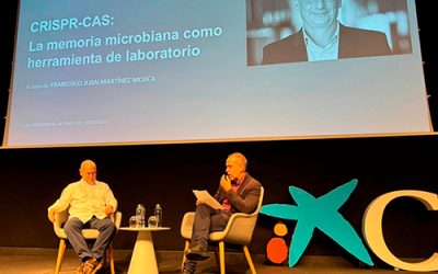 Ciencia e Innovación